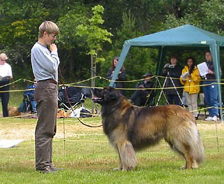 YoshkaGeeske in Show ring