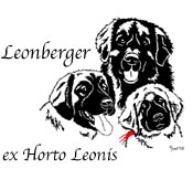leonberger ex Hoto Leonis